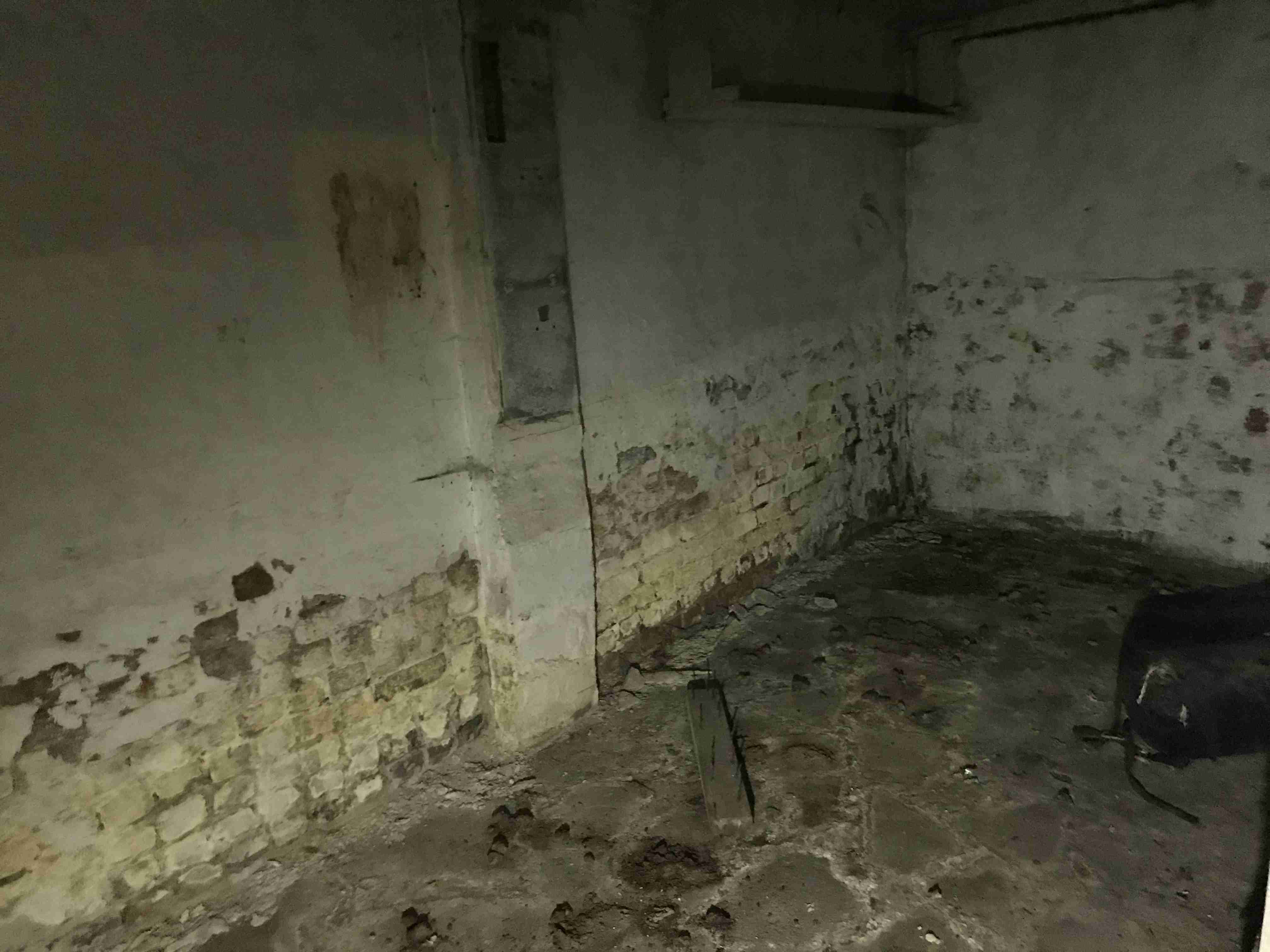 Photo Oct 13, 11 43 38 AM.jpg